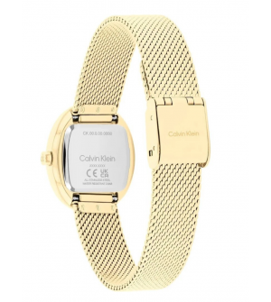 Calvin Klein Euphoria Γυναικείο Ρολόι 25100174 Quartz με Χρυσό Ανοξείδωτο Ατσάλι Μπρασελέ 23mm