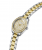 GUESS Mini Luna GW1100L3 Γυναικείο Ρολόι Quartz με Δίχρωμο Ατσάλινο Μπρασελέ 30mm