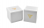 Guess Ginger GW0869L5 Γυναικείο Ρολόι 30mm με Ασημί Μπρασελέ και Πράσινο Καντράν